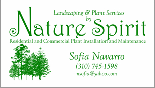 Business Cards Designs by Graphics Quarter